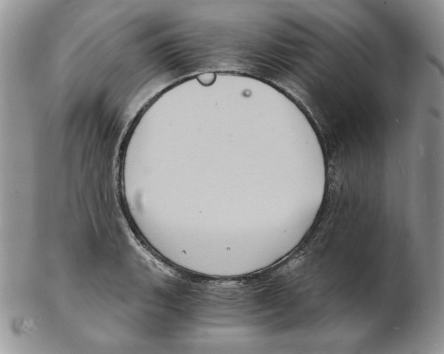 X0000102221135200808221240