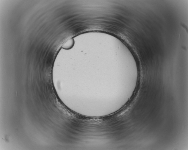 X0000102221137200808221240