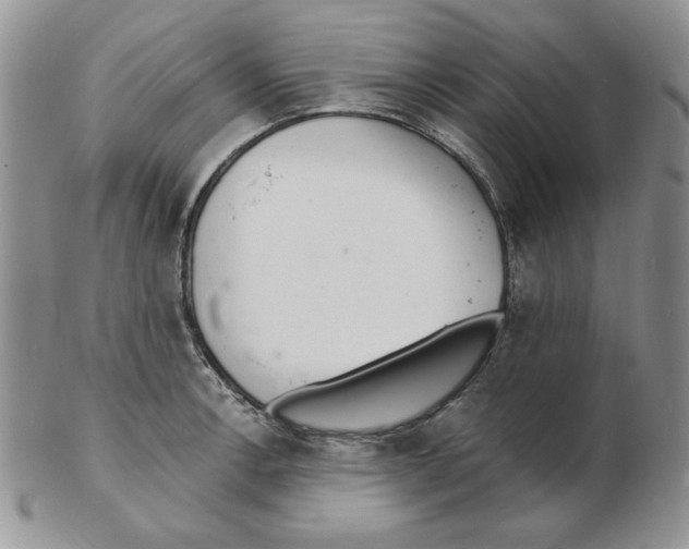 X0000102221138200808221240