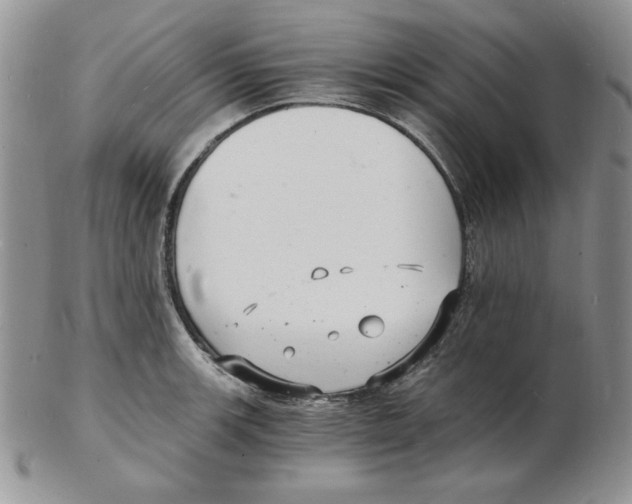 X0000102221139200808221240