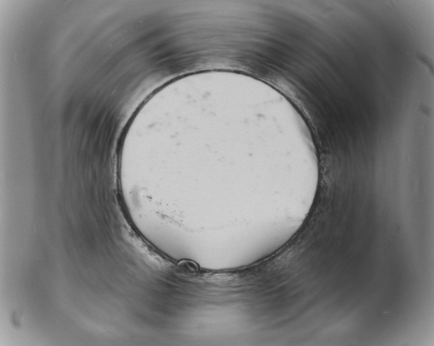 X0000102221140200808221240