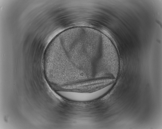 X0000102221141200808221240