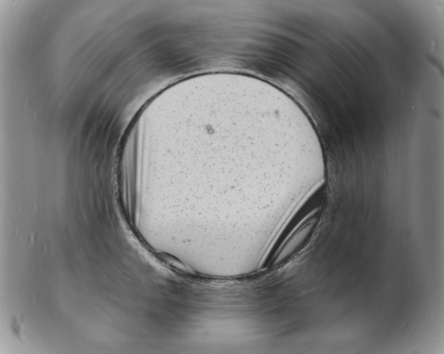 X0000102221142200808221240