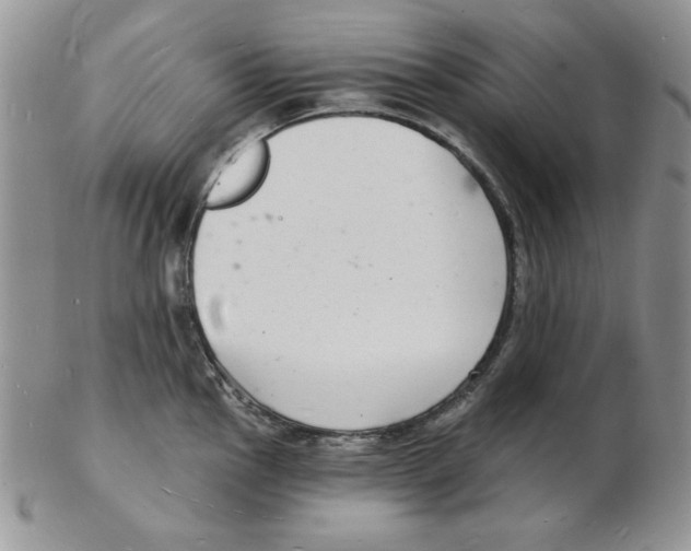 X0000102221145200808221240