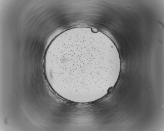 X0000102221146200808221240