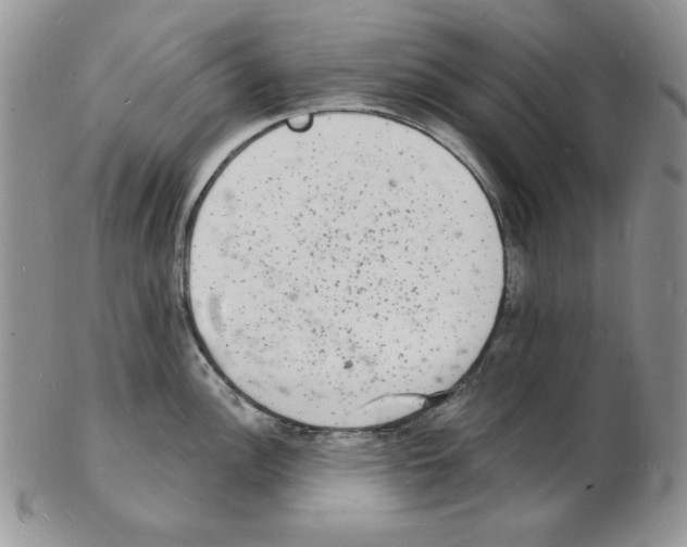 X0000102221148200808221240