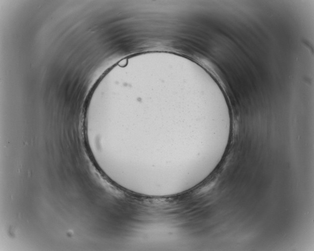 X0000102221149200808221240