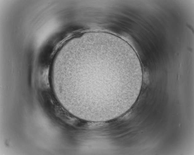 X0000102221150200808221240