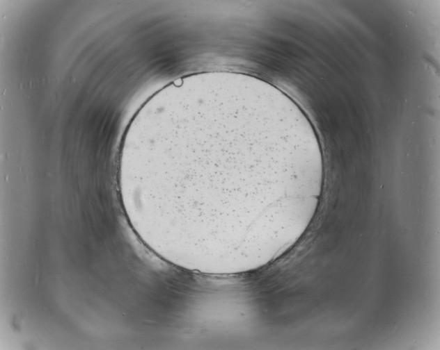 X0000102221152200808221240