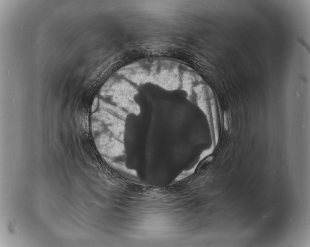 X0000102221155200808221239