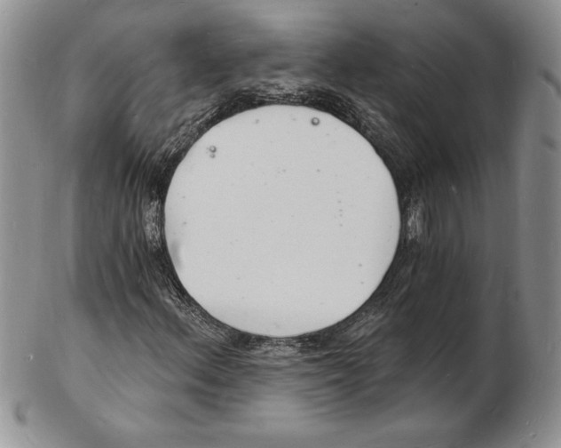 X0000102221156200808221239