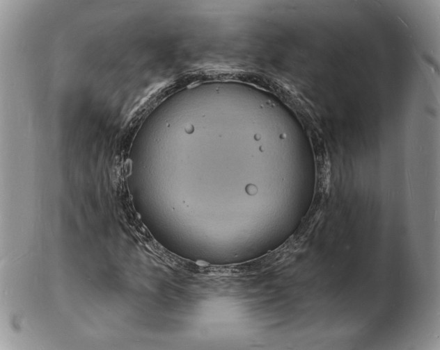 X0000102221157200808221239