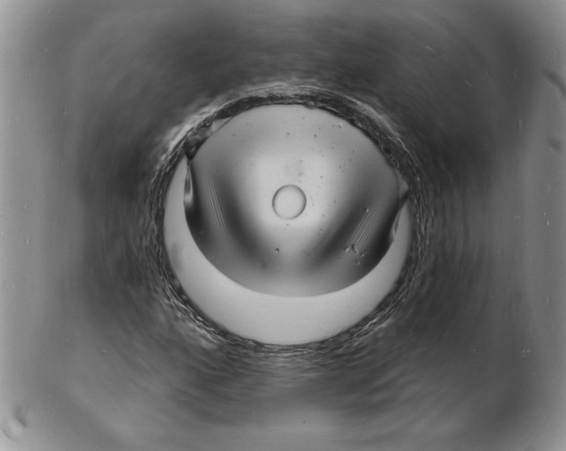 X0000102221160200808221239