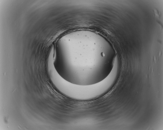 X0000102221161200808221239