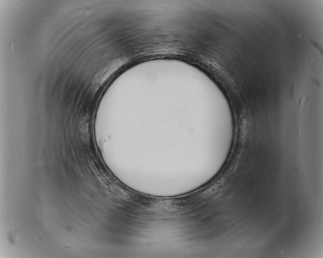 X0000102221162200808221239