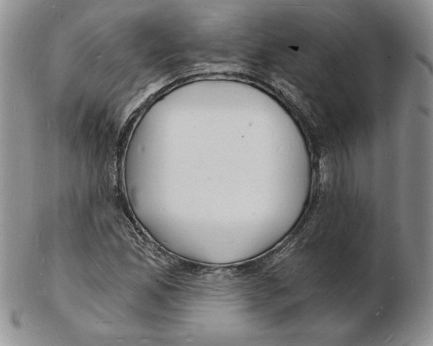 X0000102221165200808221239