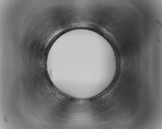 X0000102221166200808221239