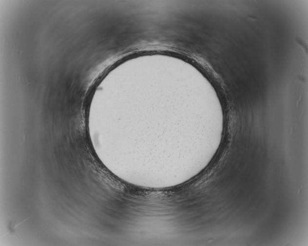 X0000102221167200808221239