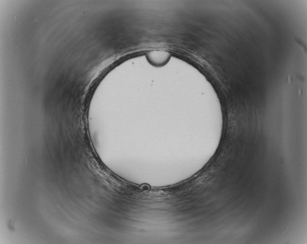 X0000102221168200808221239