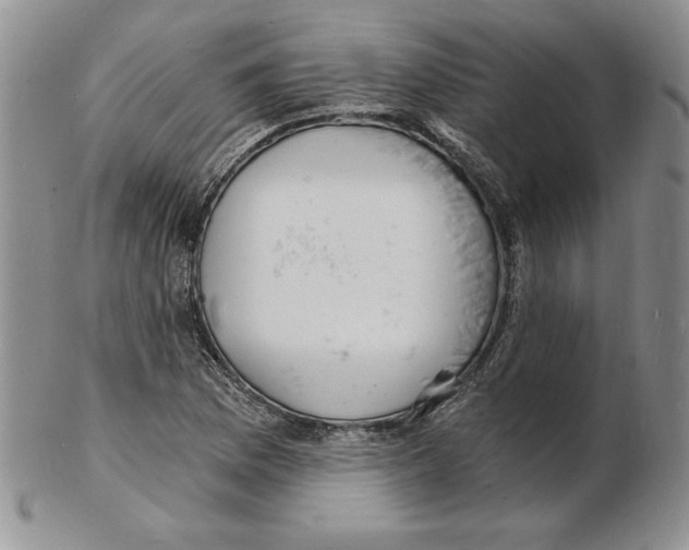 X0000102221169200808221239