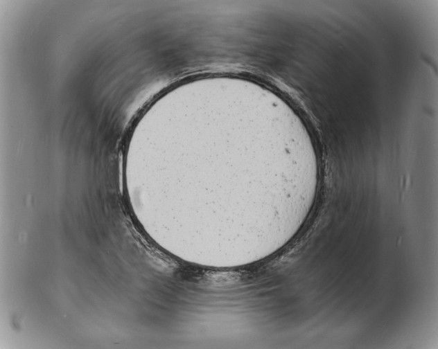 X0000102221171200808221239