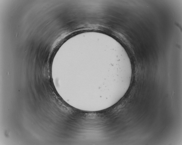 X0000102221172200808221239