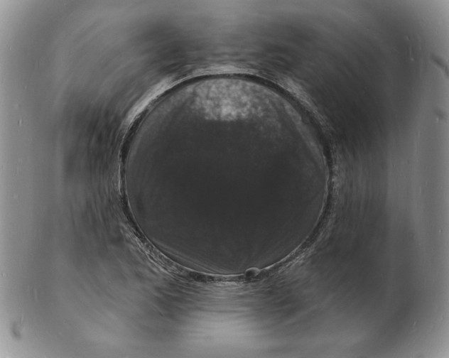 X0000102221173200808221239