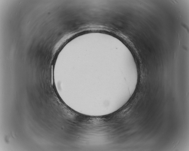 X0000102221175200808221239