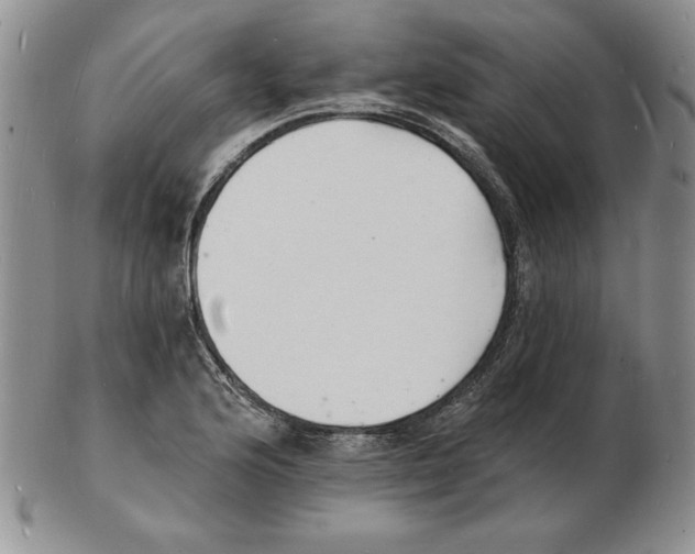 X0000102221176200808221239