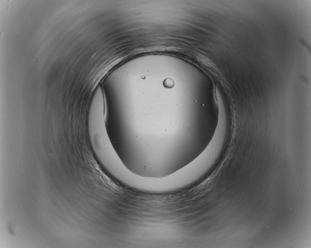 X0000102221177200808221239