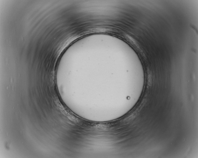 X0000102221178200808221239