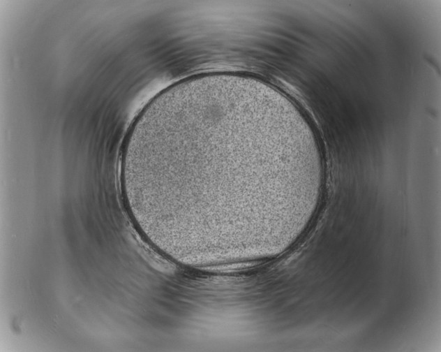 X0000102221179200808221239