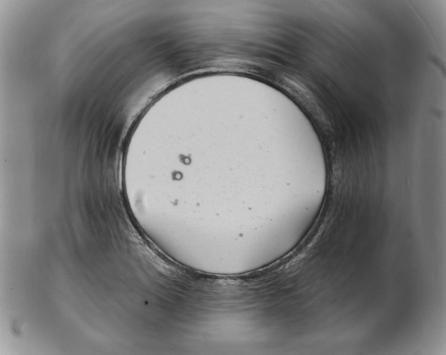 X0000102221180200808221239