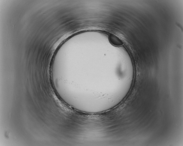 X0000102221181200808221239