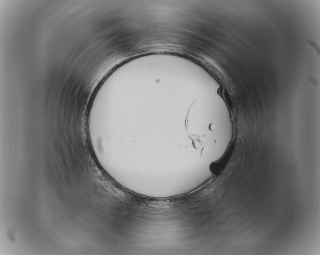 X0000102221182200808221239