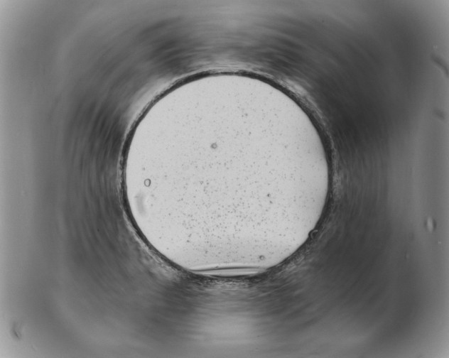 X0000102221183200808221239