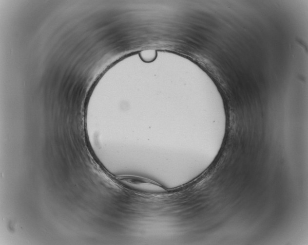 X0000102221184200808221239