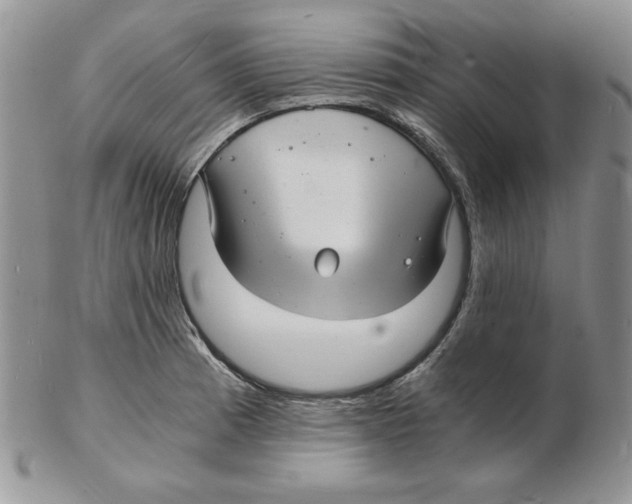 X0000102221185200808221239