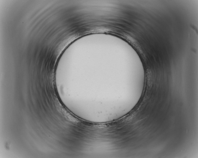 X0000102221186200808221239