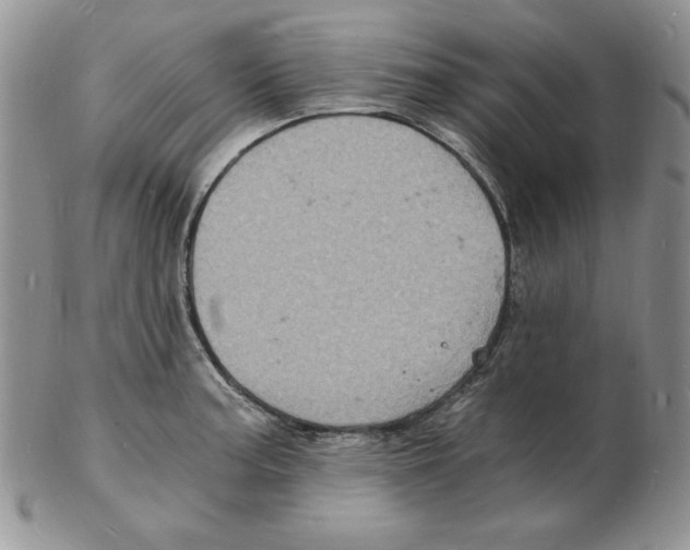 X0000102221187200808221239