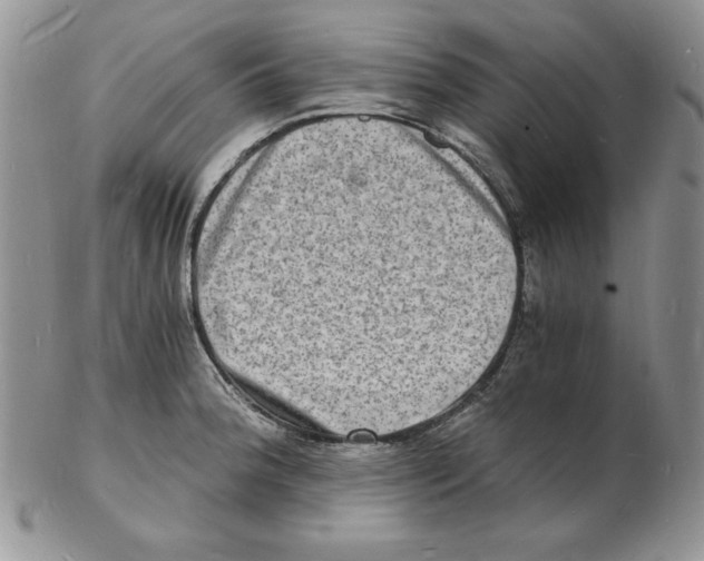 X0000102221188200808221239