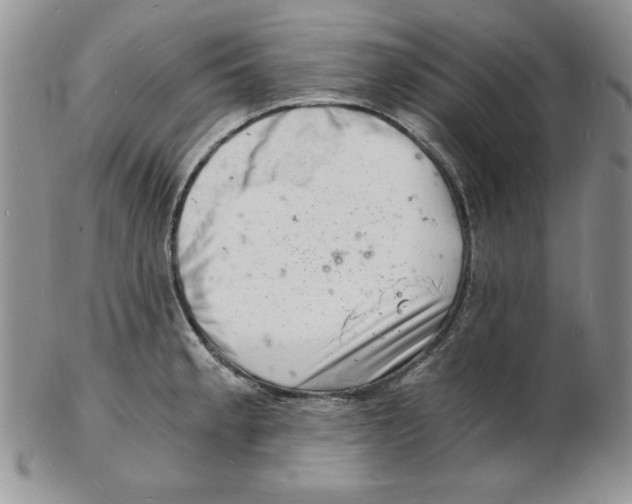 X0000102221189200808221239