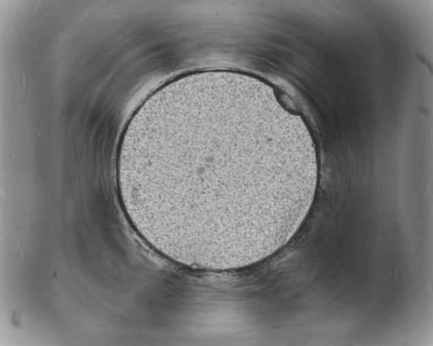 X0000102221191200808221239