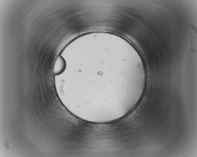 X0000102221192200808221239