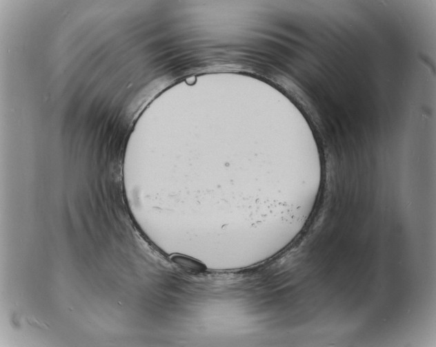 X0000102221193200808221239