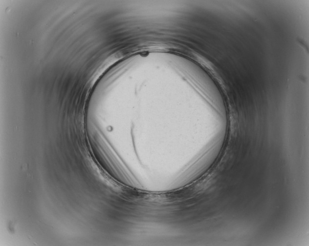 X0000102221194200808221239