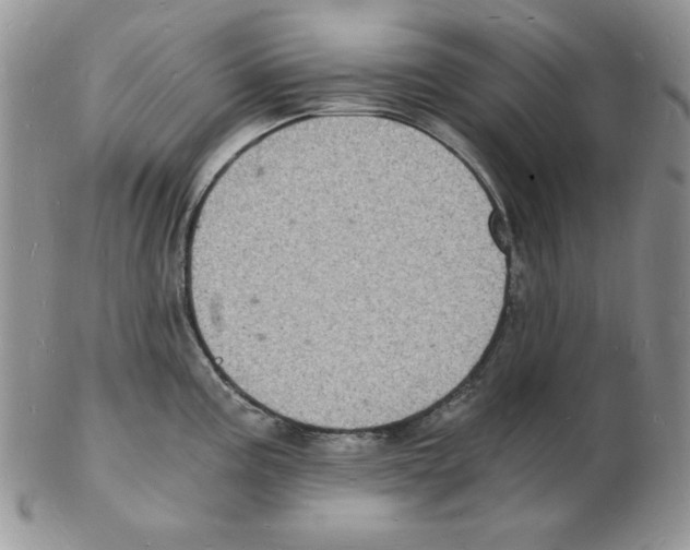 X0000102221195200808221239