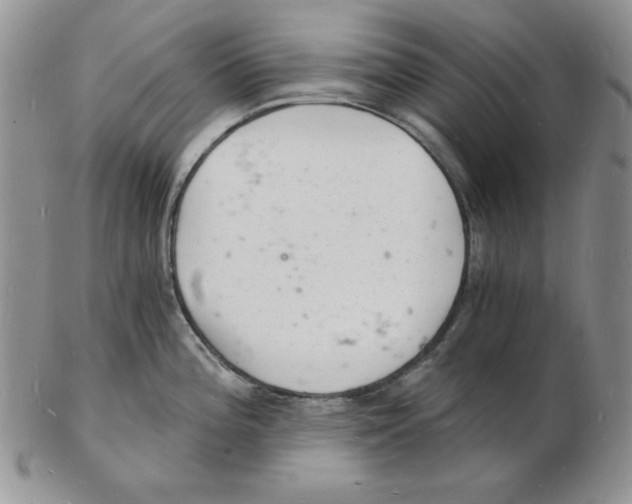 X0000102221196200808221239