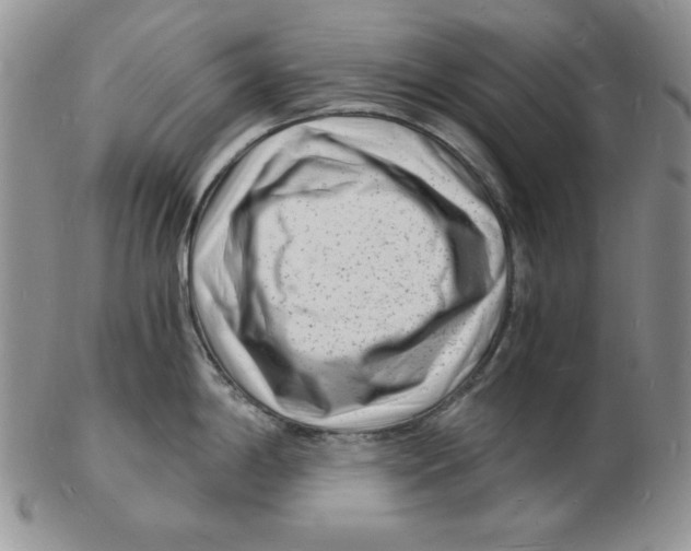 X0000102221198200808221239