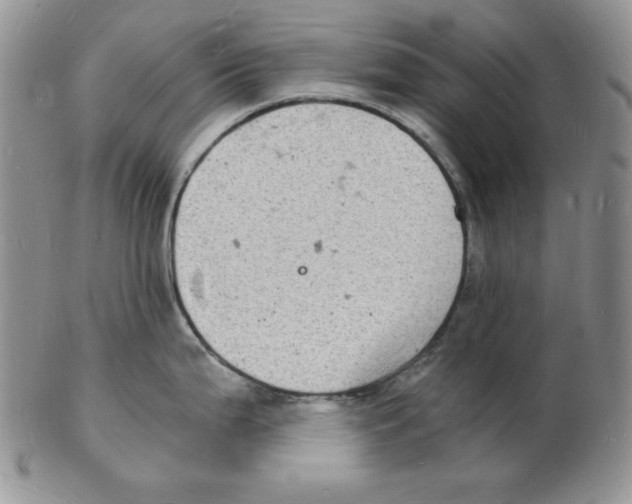 X0000102221199200808221239